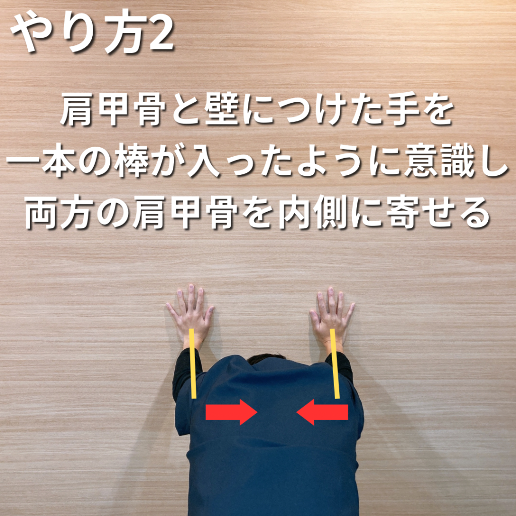 やり方2つ目で壁に当てた手と肩甲骨が一本の棒のように意識し肩甲骨を内側に寄せる説明